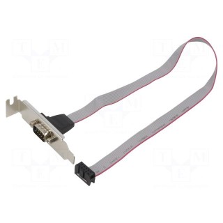 Transition: adapter | 10pin IDC,D-Sub 9pin plug | 0.4m | Cablexpert