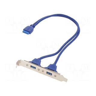 Transition: adapter | IDE 20pin female,USB A socket x2 | 0.45m