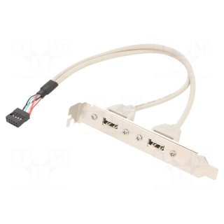 Transition: adapter | USB A socket x2,10pin pin header | 0.25m