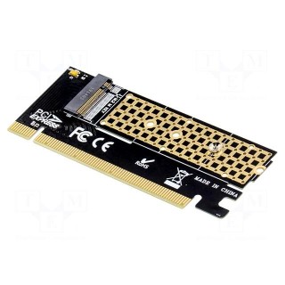 PC extension card: PCIe | M.2 (M key) | 6Gbps