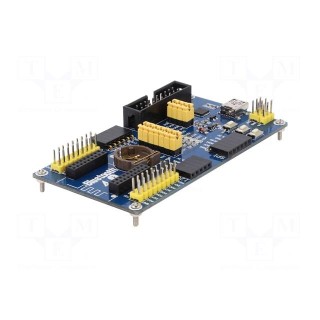 Module: adapter | Application: for BLE4.0/Bluetooth 2.4G modules
