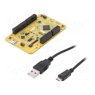 Dev.kit: ARM NXP | FlexCAN,GPIO,USB | 1.8VDC,3.3VDC