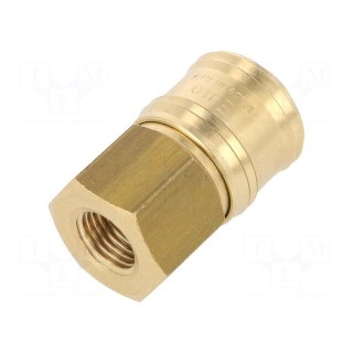 Quick connection coupling EURO | brass | Int.thread: 1/4"