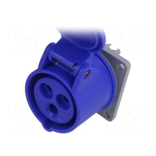 Connector: AC supply 3-phase | socket | female | 16A | 250VAC | IP44