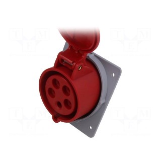 Connector: AC supply 3-phase | socket | female | 32A | 415VAC | IP44