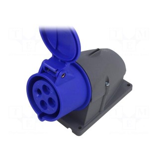 Connector: AC supply 3-phase | socket | female | 32A | 250VAC | IP44