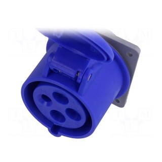 Connector: AC supply 3-phase | socket | female | 32A | 250VAC | IP44