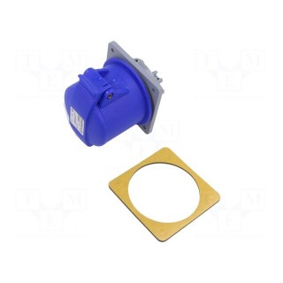 Connector: AC supply 3-phase | socket | female | 32A | 250VAC | IP44