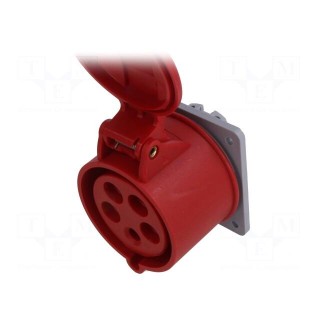 Connector: AC supply 3-phase | socket | female | 32A | 415VAC | IP44