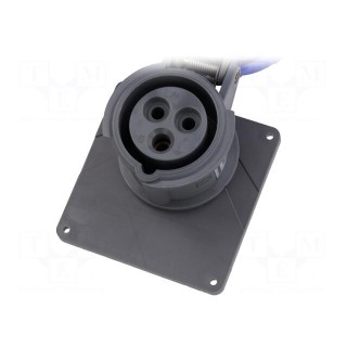 Connector: AC supply 3-phase | socket | female | 16A | 250VAC | IP67