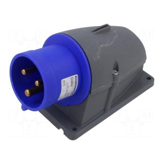 Connector: AC supply 3-phase | socket | male | 32A | 250VAC | IEC 60309