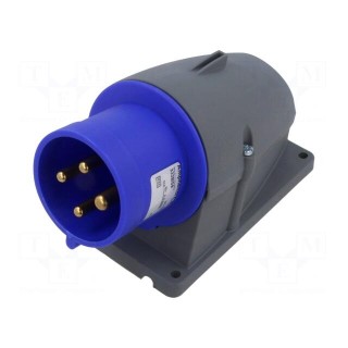 Connector: AC supply 3-phase | socket | male | 32A | 250VAC | IEC 60309