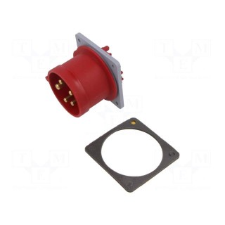 Connector: AC supply 3-phase | socket | male | 32A | 415VAC | IEC 60309