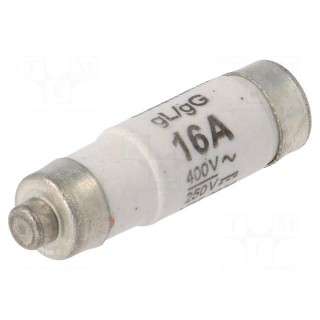 Fuse: fuse | 16A | 400VAC | 250VDC | ceramic,industrial | D01