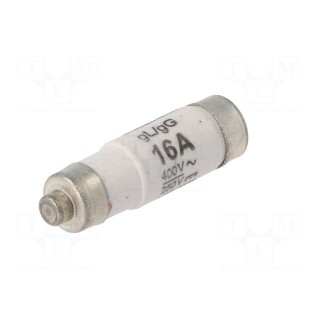 Fuse: fuse | 16A | 400VAC | 250VDC | ceramic,industrial | D01