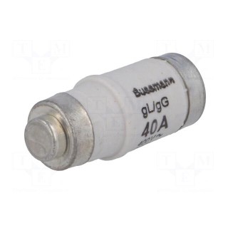 Fuse: fuse | 40A | 400VAC | 250VDC | ceramic,industrial | D02