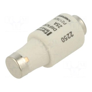 Fuse: fuse | gG | 25A | 500VAC | 500VDC | industrial | DII
