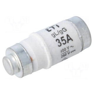 Fuse: fuse | gG,gL | 35A | 400VAC | 250V | industrial | D02