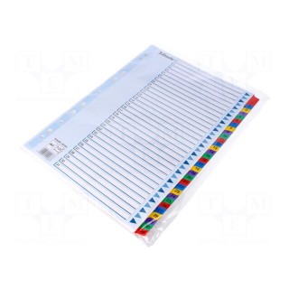 File dividers numbered | Marking: 1-31