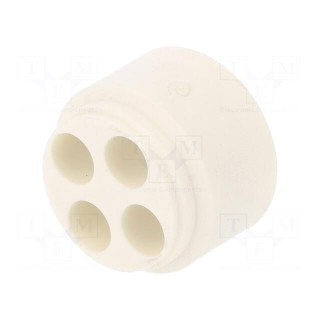 Insert for gland | with thread NPT | Size: NPT3/4" | Holes no: 4 | 6mm