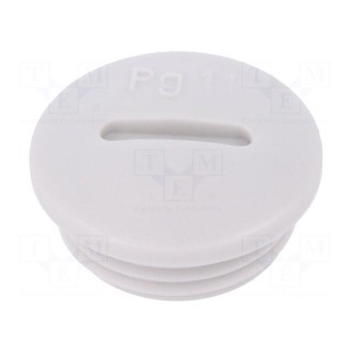 Stopper | PG11 | IP54 | polyamide | light grey | SKINDICHT® BLK-GL | 6mm