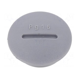 Stopper | PG16 | Mat: polyamide | dark grey | Pcs: 10