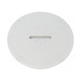 Stopper | PG29 | IP54 | polyamide | light grey | SKINDICHT® BLK-GL | 8mm