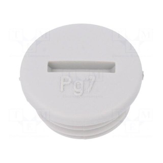 Stopper | PG7 | IP54 | Mat: polyamide | light grey