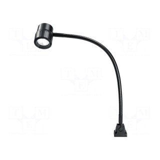 Desk lamp | 6W | mains power supply | Plug: EU | LED | CRImin: 70 | IP67