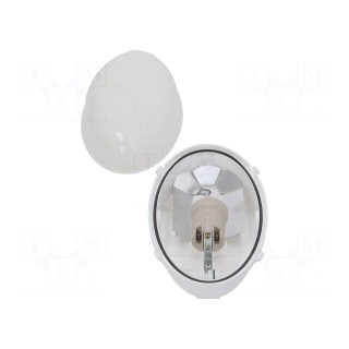 Lamp: lighting fixture | PUMA OVAL | polycarbonate | E27 | IP65 | oval