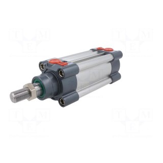 Profile cylinder | Piston diam: 20mm | Piston stroke: 50mm | 1÷10bar