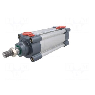 Profile cylinder | Piston diam: 20mm | Piston stroke: 80mm | 1÷10bar