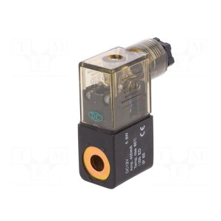 Coil for solenoid valve | IP65 | 4.8W | 12VDC | A: 20.8mm | B: 29mm