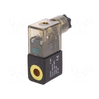 Coil for solenoid valve | IP65 | 4.8W | 24VDC | A: 20.8mm | B: 29mm