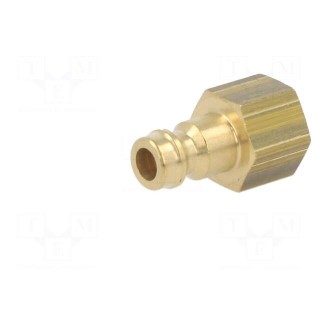 Connector | connector pipe | 0÷35bar | brass | Deans,NW 5 | -20÷100°C