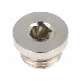 Protection cap | G 1/4" | 100bar | Mat: nickel plated brass