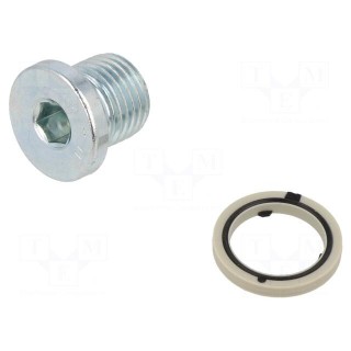 Protection cap | zinc plated steel | Thread: G 1/4" | 11Nm
