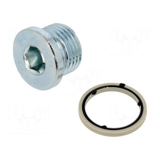 Protection cap | zinc plated steel | Thread: G 1/2" | 14Nm