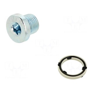 Protection cap | zinc plated steel | Thread: G 1/8" | 3.5Nm