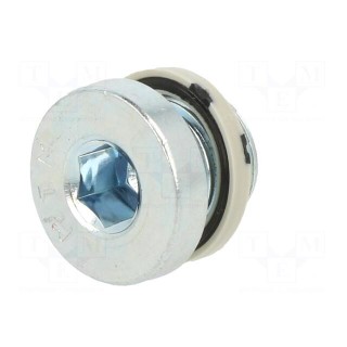 Protection cap | zinc plated steel | Thread: G 1/8" | 3.5Nm