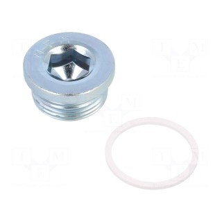 Protection cap | zinc plated steel | Thread: G 1" | Gasket: PVC