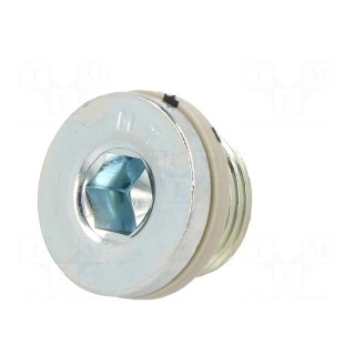 Protection cap | zinc plated steel | Thread: G 3/8" | 12.5Nm