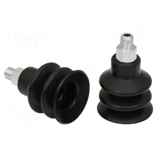 Suction cup | 20mm | M5-AG | Shore hardness: 55 | 2cm3 | FSG | Øcable: 2mm