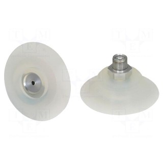 Suction cup | 50mm | G1/8" AG | Shore hardness: 55 | 7cm3 | 91N | PFYN