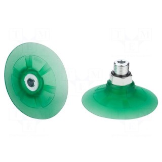 Suction cup | 50mm | G1/4-AG | Shore hardness: 65 | 7.955cm3 | SPF
