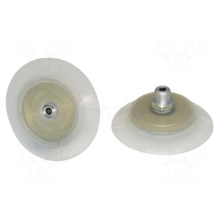 Suction cup | Silicone SI | 80mm | Mounting: G1/4-AG | 62.5g | 260N