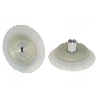 Suction cup | Silicone SI | 95mm | Mounting: G1/4-IG | 104.9g | 350N