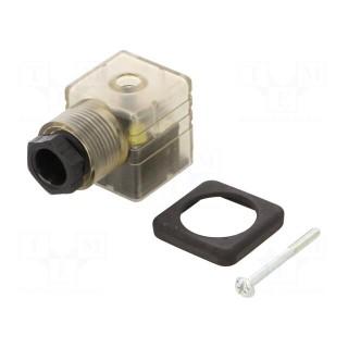 Plug for coil | PIN: 3 | natural (transparent) | 230V | A: 27mm | B: 28mm