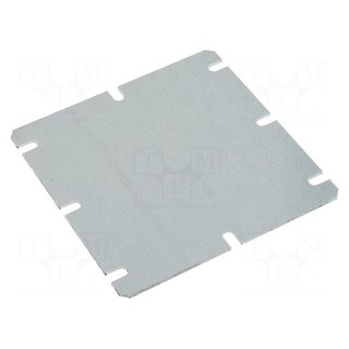 Mounting plate | steel | W: 98mm | L: 98mm | Series: MNX | ABS125/100