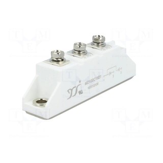 Module: diode | double series | 1.6kV | If: 100A | D1 | Ufmax: 1.4V | screw